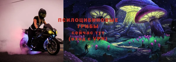 эйфоретик Абинск