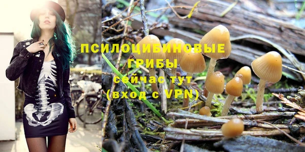эйфоретик Абинск