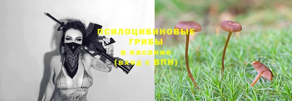 эйфоретик Абдулино