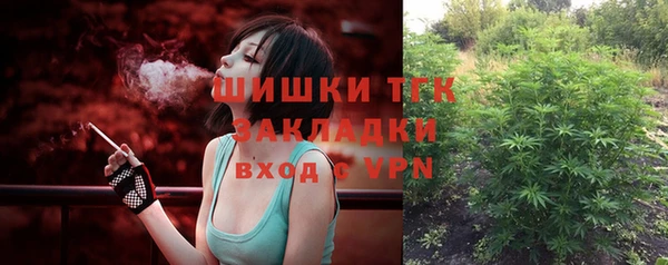 стаф Струнино