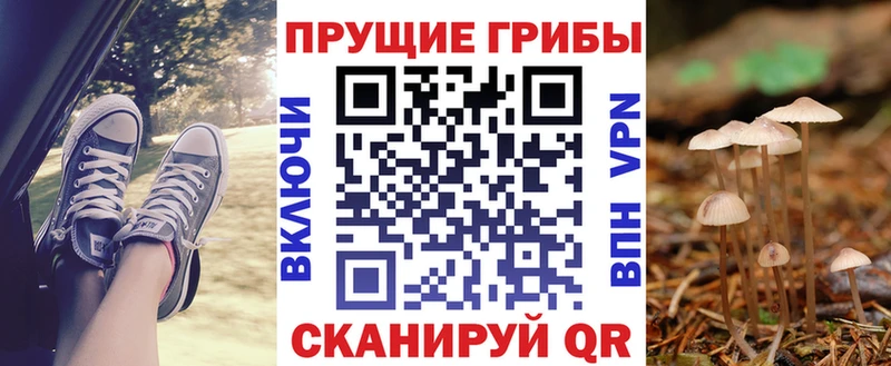 Галлюциногенные грибы Psilocybine cubensis  Ялуторовск 